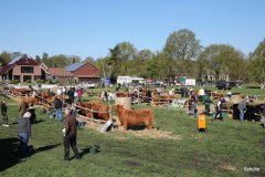 003-30-JTS-NHC-Bedueftig-Hollen-3