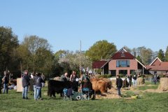 004-30-JTS-NHC-Bedueftig-Hollen-4