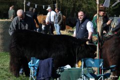 005-30-JTS-NHC-Bedueftig-Hollen-5