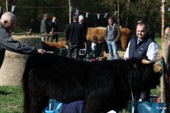 006-30-JTS-NHC-Bedueftig-Hollen-6