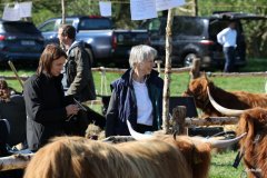 010-30-JTS-NHC-Bedueftig-Hollen-10