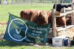 019-30-JTS-NHC-Bedueftig-Hollen-19