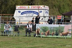 025-Begruessung-30-JTS-NHC-Hollen-6