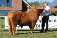 029-28-b-Malachie-Ruadh-of-Laidinn-Brus-Gerhard-jun.-Meyering-Ankum-Tuetingen