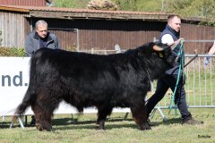 034-24-c-Sam-vom-Westerhof-Finn-Schultz-Hollen-2