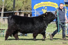 035-24-c-Sam-vom-Westerhof-Finn-Schultz-Hollen-1