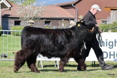 036-20-e-Prionssa-9.-vom-Weeser-Moor-Stefan-Wreczcki-Voltlage-Weese-2