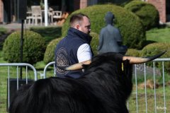 038-24-c-Sam-vom-Westerhof-Finn-Schultz-Hollen