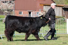 039-20-e-Prionssa-9.-vom-Weeser-Moor-Stefan-Wreczcki-Voltlage-Weese