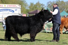 042-24-c-Sam-vom-Westerhof-Finn-Schultz-Hollen-3