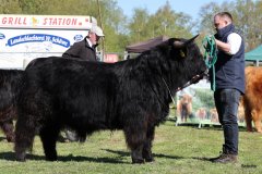 043-24-c-Sam-vom-Westerhof-Finn-Schultz-Hollen-4