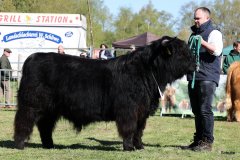 044-24-c-Sam-vom-Westerhof-Finn-Schultz-Hollen-5