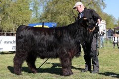 045-20-e-Prionssa-9.-vom-Weeser-Moor-Stefan-Wreczcki-Voltlage-Weese-3