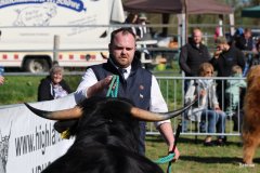 048-24-c-Sam-vom-Westerhof-Finn-Schultz-Hollen-6