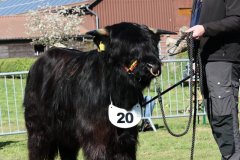 050-20-e-Prionssa-9.-vom-Weeser-Moor-Stefan-Wreczcki-Voltlage-Weese-5