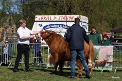 053-28-b-Malachie-Ruadh-of-Laidinn-Brus-Gerhard-jun.-Meyering-Ankum-Tuetingen-4