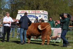 054-28-b-Malachie-Ruadh-of-Laidinn-Brus-Gerhard-jun.-Meyering-Ankum-Tuetingen-5