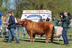055-28-b-Malachie-Ruadh-of-Laidinn-Brus-Gerhard-jun.-Meyering-Ankum-Tuetingen-6