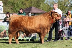 056-28-b-Malachie-Ruadh-of-Laidinn-Brus-Gerhard-jun.-Meyering-Ankum-Tuetingen-7