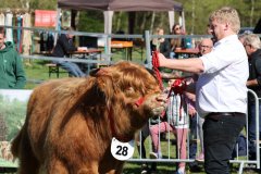 057-28-b-Malachie-Ruadh-of-Laidinn-Brus-Gerhard-jun.-Meyering-Ankum-Tuetingen-8