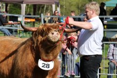058-28-b-Malachie-Ruadh-of-Laidinn-Brus-Gerhard-jun.-Meyering-Ankum-Tuetingen-9