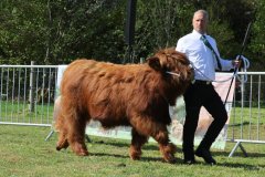 060-4-a-MC-Neill-vom-Buersteler-Feld-Andreas-Czich-Stuhr