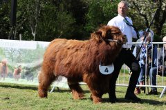 061-4-a-MC-Neill-vom-Buersteler-Feld-Andreas-Czich-Stuhr-2