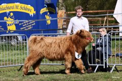 064-5-c-Isac-vom-Kreienmoor-Matthias-Mueller-Reich-Osterholz-Scharmbeck