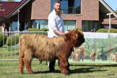 065-2-f-Jannik-vom-Elbdeich-Guenter-Dorn-Nordleda