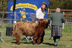 067-2-f-Jannik-vom-Elbdeich-Guenter-Dorn-Nordleda-3