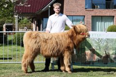 070-5-c-Isac-vom-Kreienmoor-Matthias-Mueller-Reich-Osterholz-Scharmbeck-3