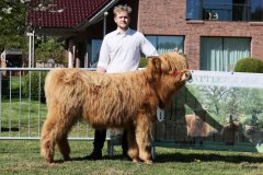 071-5-c-Isac-vom-Kreienmoor-Matthias-Mueller-Reich-Osterholz-Scharmbeck-4