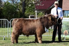 073-6-d-Corny-Fox-of-Blocken-Kristine-und-Bernhard-Helmerichs-Stuhr-4