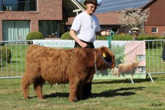 074-1-e-Jannis-vom-Elbdeich-Guenter-Dorn-Nordleda