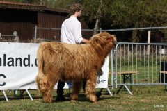 075-5-c-Isac-vom-Kreienmoor-Matthias-Mueller-Reich-Osterholz-Scharmbeck-5