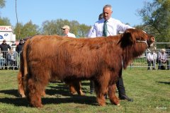 077-4-a-MC-Neill-vom-Buersteler-Feld-Andreas-Czich-Stuhr-4