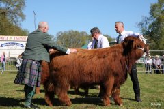 078-4-a-MC-Neill-vom-Buersteler-Feld-Andreas-Czich-Stuhr-5