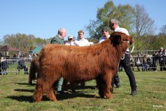 079-4-a-MC-Neill-vom-Buersteler-Feld-Andreas-Czich-Stuhr-6