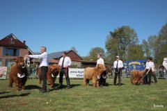 081-Bullen-Klasse-1-2