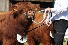 084-4-a-MC-Neill-vom-Buersteler-Feld-Andreas-Czich-Stuhr-7