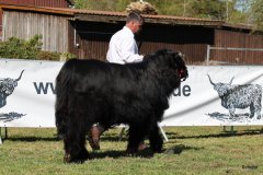 090-7-a-Myloe-vom-Jeetzetal-Heinz-Wapenhans-Kloetze-OT-Immekath