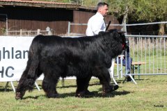 091-7-a-Myloe-vom-Jeetzetal-Heinz-Wapenhans-Kloetze-OT-Immekath-2