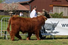 092-8-c-Red-Seumas-of-HCR-Lukas-Ader-Bad-Hersfeld