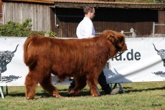 093-8-c-Red-Seumas-of-HCR-Lukas-Ader-Bad-Hersfeld-2