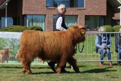 094-9-b-Jumper-vom-Zockeldraff-Manfred-Heinz-Scholen