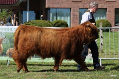 095-10-d-Varus-vom-Foerdewald-Dirk-Mitzkus-Flensburg-Engelsby