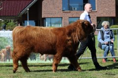 097-13-e-Cooper-vom-Kleinendorfer-Bruch-Hartmut-Rehling-Rahden-3