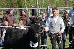 098-12-f-Cameron-Focx-of-Blocken-Norbert-u.-Ute-Hilgemeier-Diepenau-2