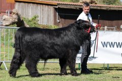 099-7-a-Myloe-vom-Jeetzetal-Heinz-Wapenhans-Kloetze-OT-Immekath-3