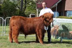 101-8-c-Red-Seumas-of-HCR-Lukas-Ader-Bad-Hersfeld-5